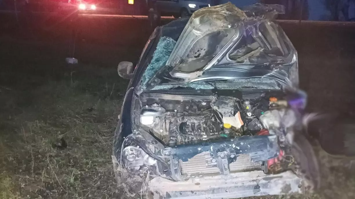 Молодой водитель погиб в ДТП с лосем в Удмуртии