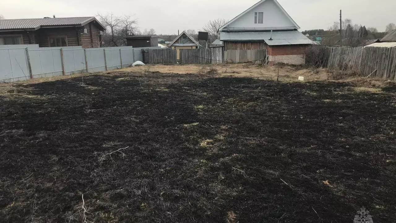 Трава загорелась из-за сжигания мусора в Завьяловском районе Удмуртии