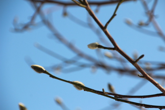 Весна на пороге: в Удмуртии ожидается потепление до +5°С